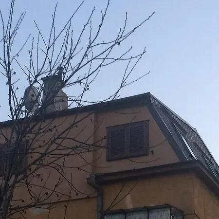 Cipariu 公寓